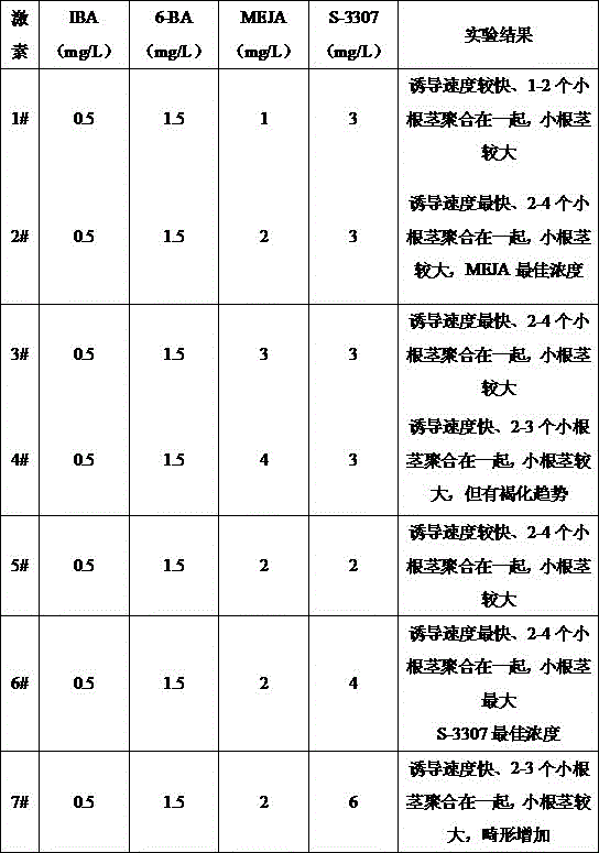 A propagation method for small rhizome of sinopodophyllum hexandrum