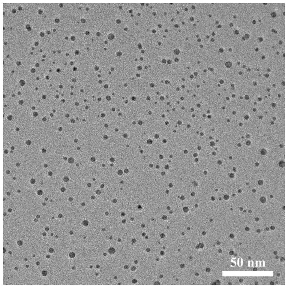 Water-soluble biomass derived carbon dots as well as preparation method and application thereof