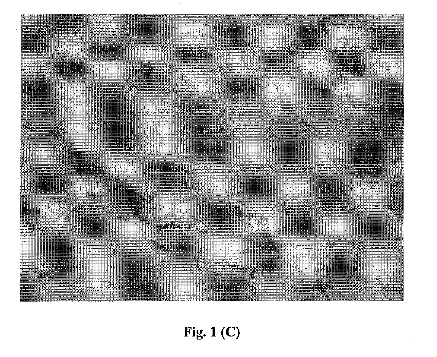 Methods and Compositions for Detection of Lethal Cell and Uses Thereof