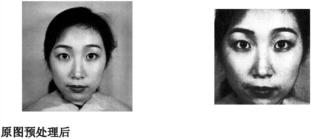 Rapid facial expression recognition method based on ELM self-encoding algorithm