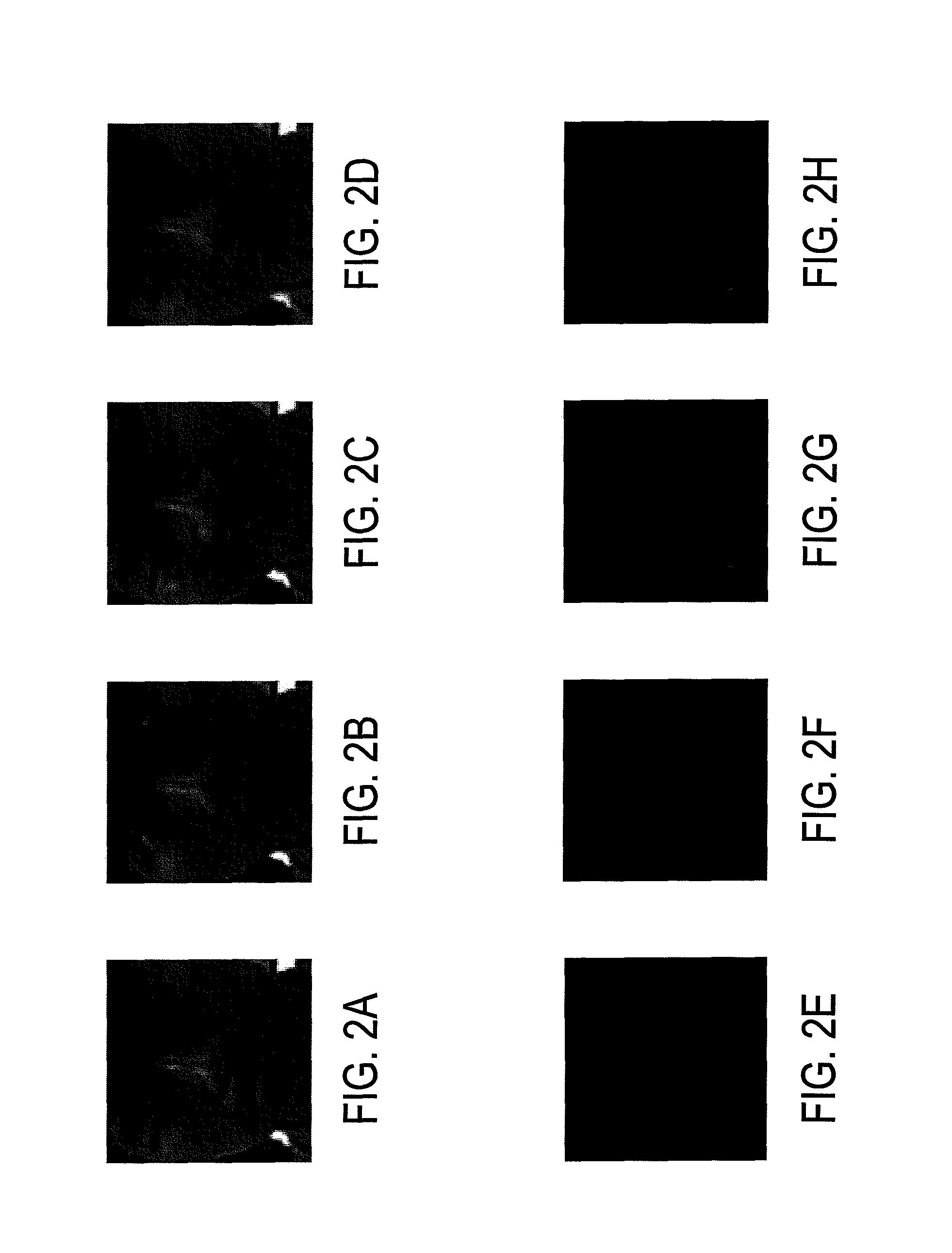 Ultra-low dimensional representation for face recognition under varying expressions