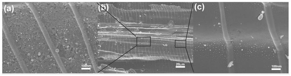 Thick-layer three-dimensional vertical hierarchical multi-channel graphitized activated wood-source carbon electrode and its preparation method