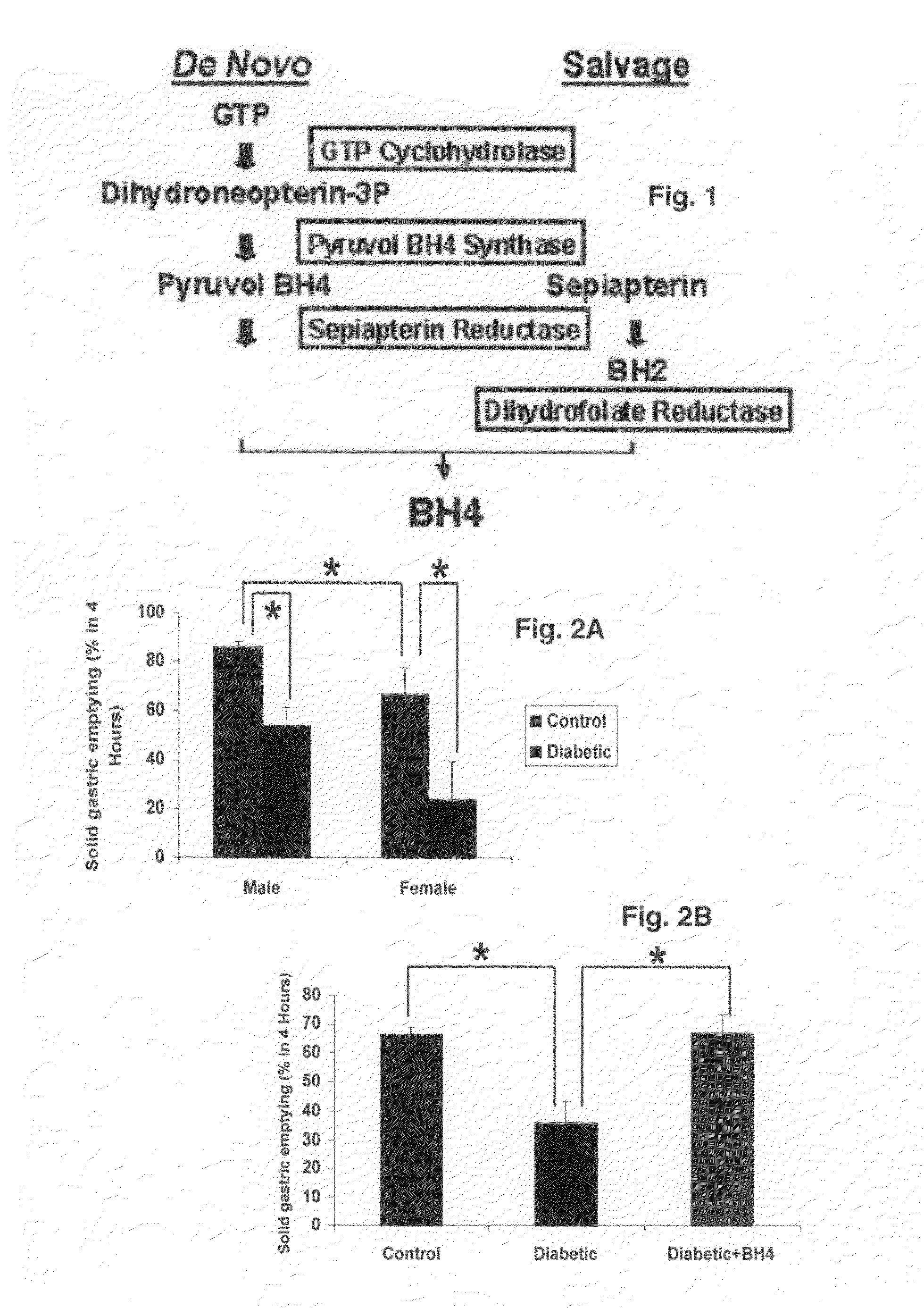 Uses of tetrahydrobiopterin and derivatives thereof