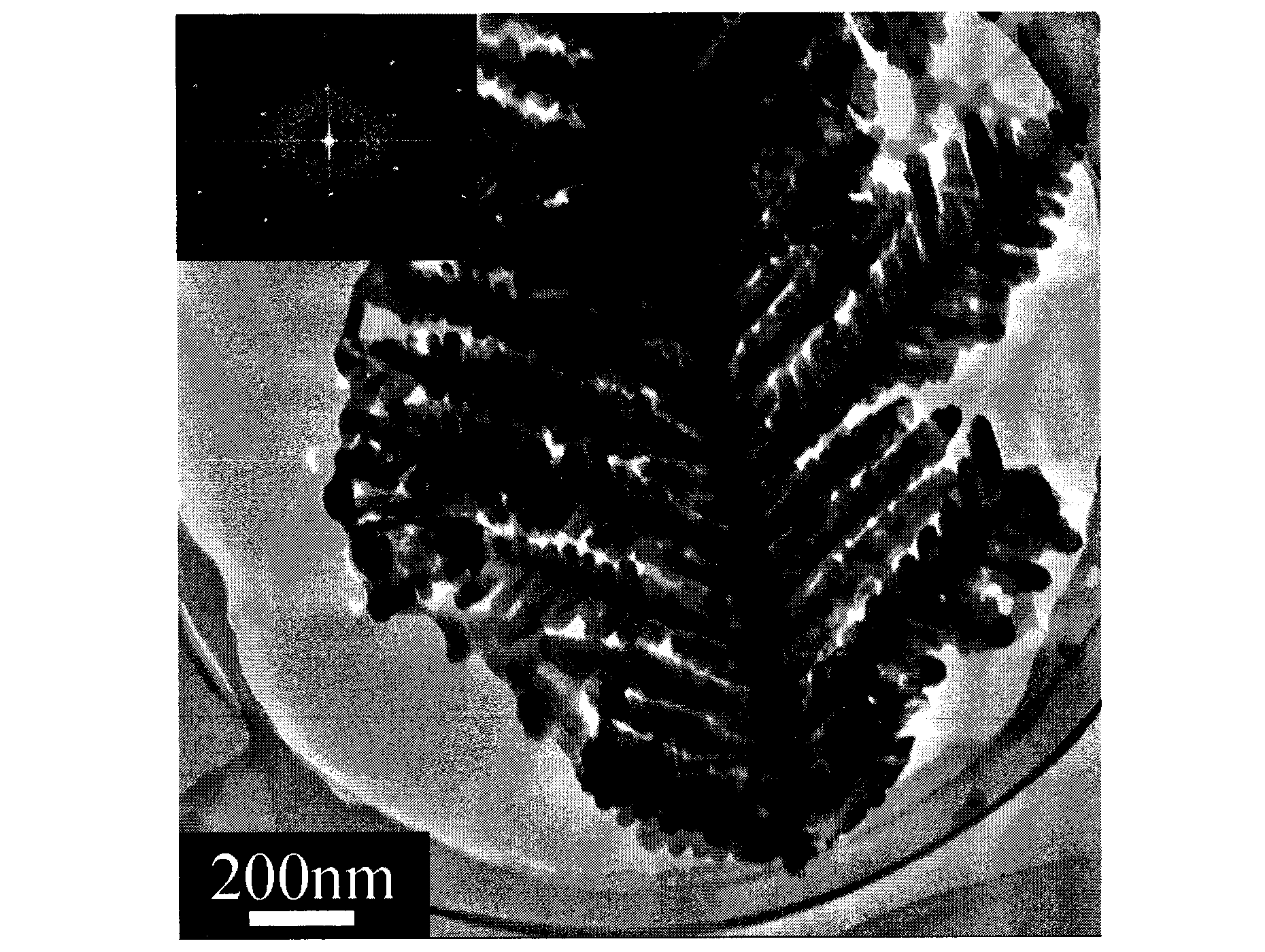 Chemical method for preparing three-dimensional dendritic copper selenide nano-crystalline photoelectric film material