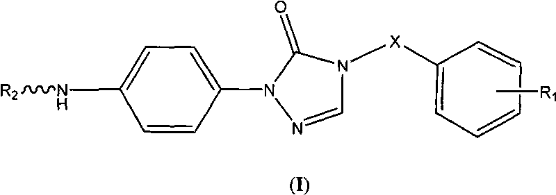 Triazolone compound as well as preparation method and application thereof