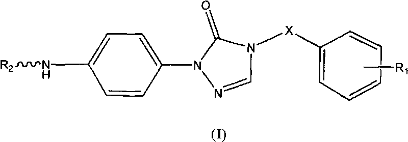 Triazolone compound as well as preparation method and application thereof