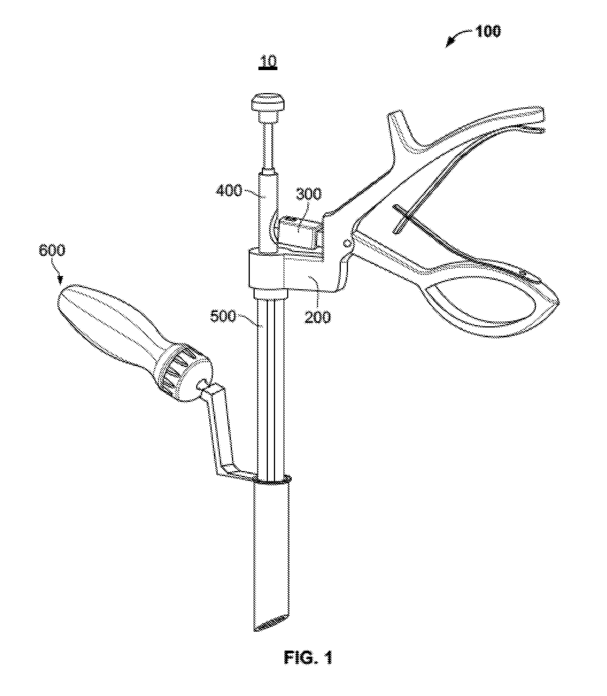 Percutaneous bone graft delivery system and method