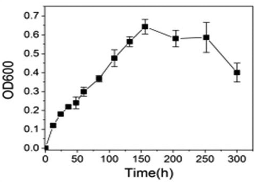 A Strain of Anaerobic Bacillus spp. and Its Application