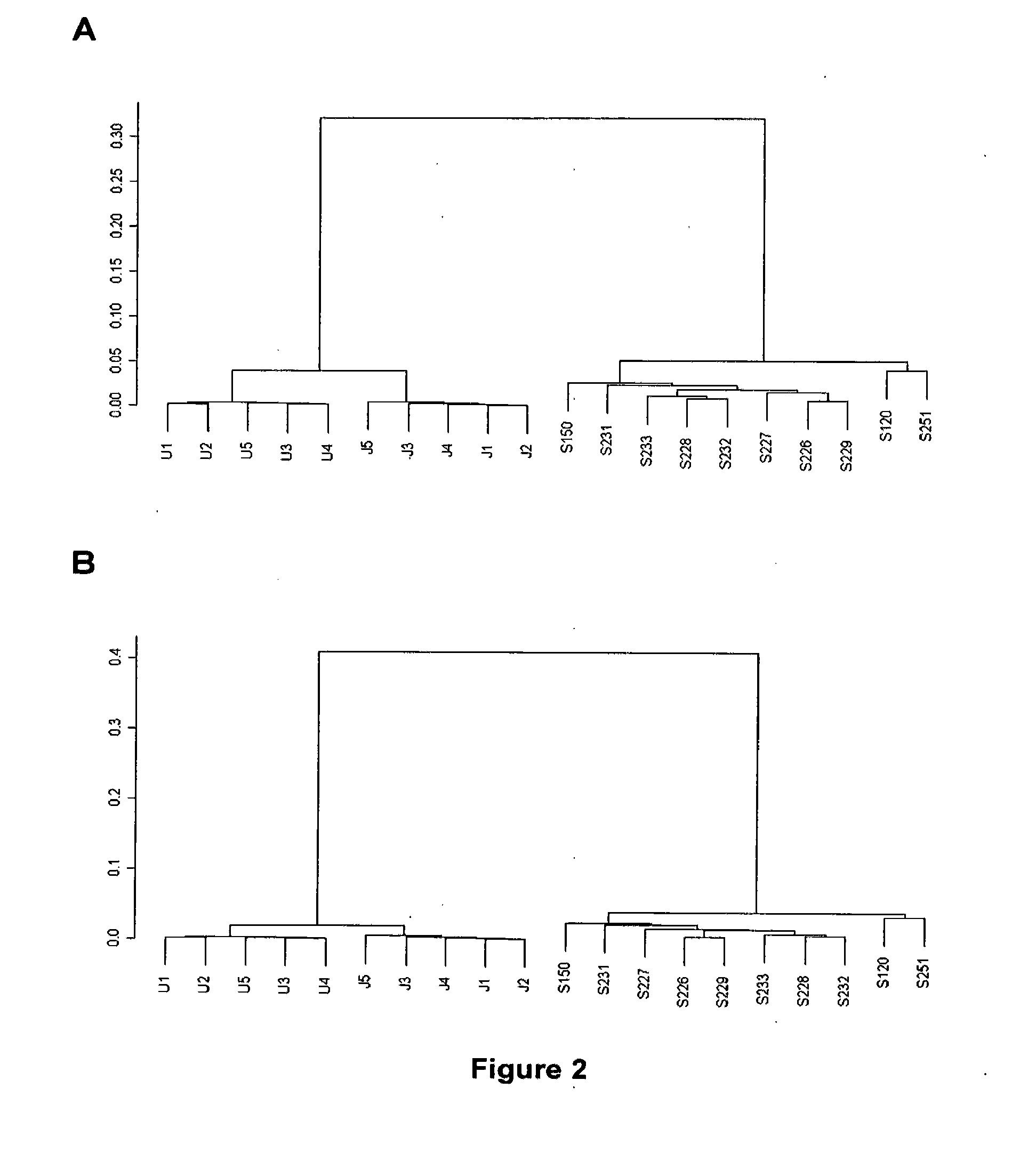 Method and Device for the in Vitro Analysis for MRNA of Genes Involved in Haematological Neoplasias