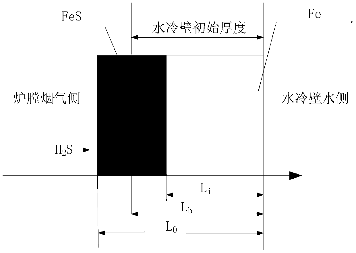High-temperature corrosion prediction and service life evaluation method for boiler water wall