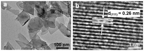 Application of nano black phosphorene in magnesium ion battery negative electrode material