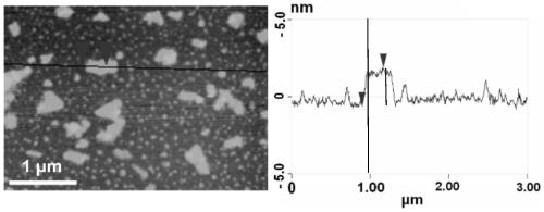 Application of nano black phosphorene in magnesium ion battery negative electrode material