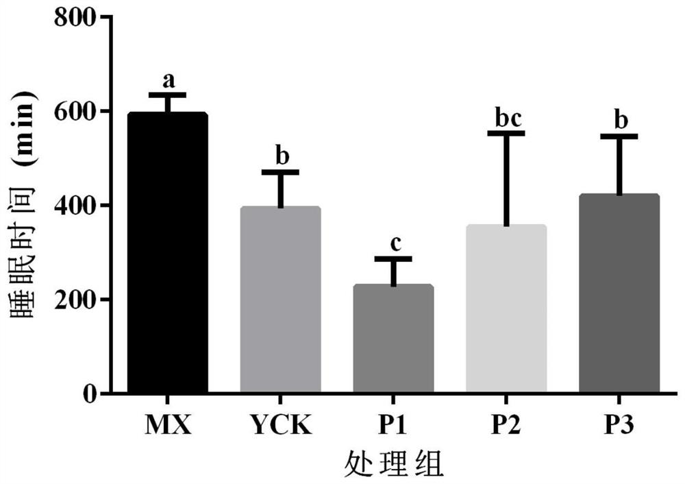 Blueberry anthocyanin hangover-alleviating beverage and preparation method thereof