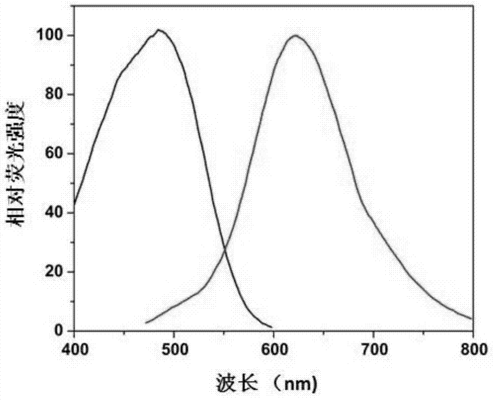 Water-Soluble Fluorene Compounds and Their Application in Protein Analysis