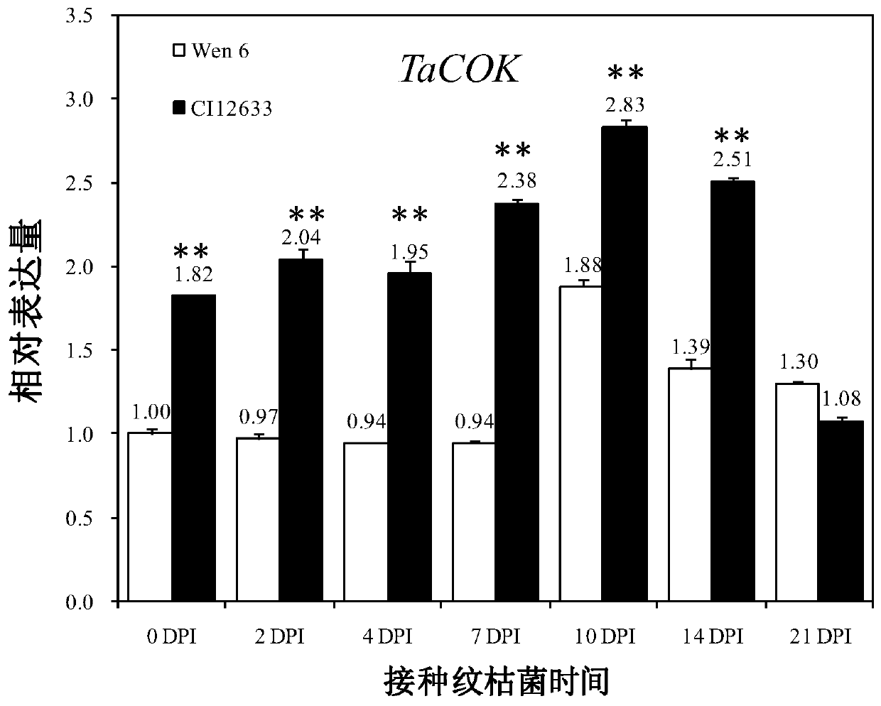 Wheat disease resistance and heading regulation gene TaCOK, related biological material and application