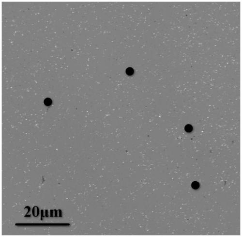 A kind of preparation method of erbium doped molybdenum disulfide film