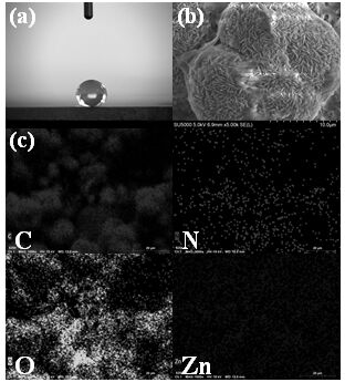 Fluorine-free super-hydrophobic Zn-MOF composite coating on surface of magnesium alloy and preparation method thereof