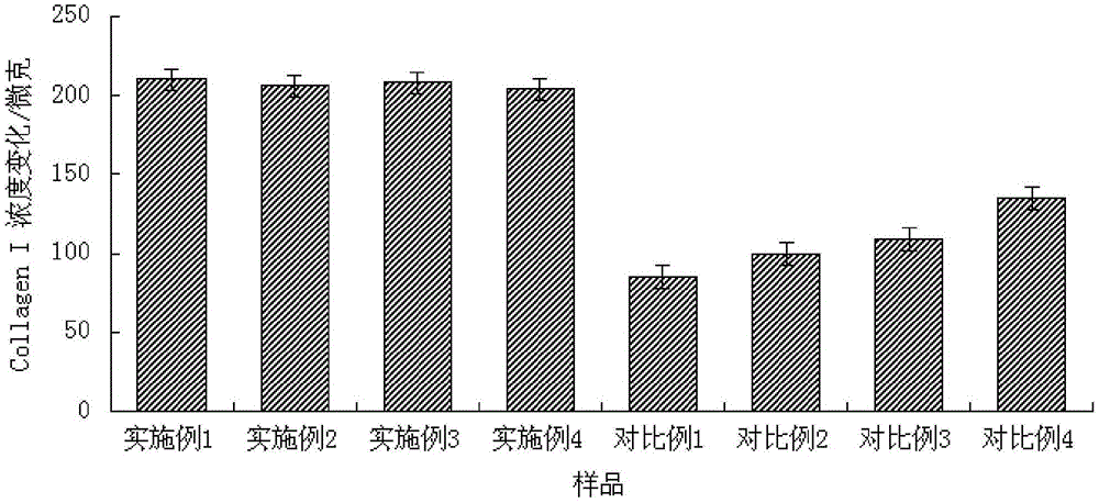 Anti-aging composition and preparation method thereof