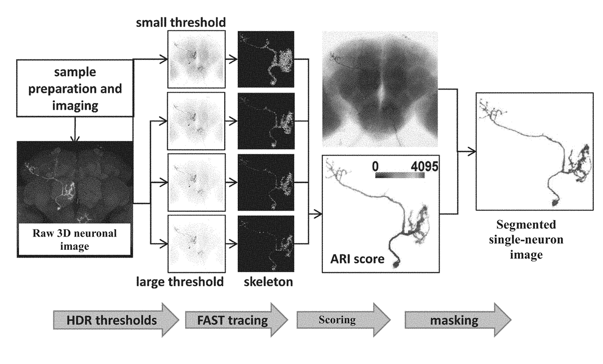 Method of segmenting single neuron images with high-dynamic-range thresholds and computer readable storage medium thereof