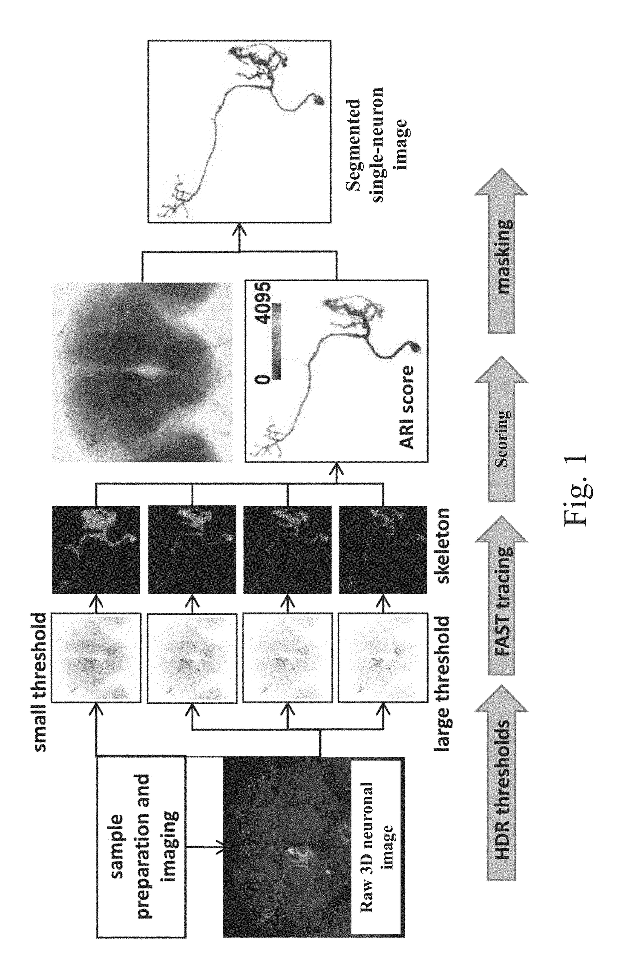 Method of segmenting single neuron images with high-dynamic-range thresholds and computer readable storage medium thereof