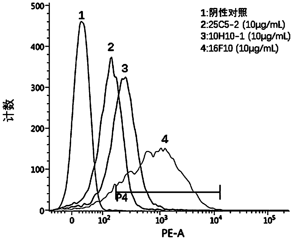 Cluster of differentiation 19 (CD19) antibody and application thereof