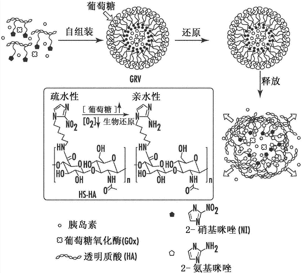 Glucose-responsive insulin delivery system using hyoxia-sensitive nanocomposites