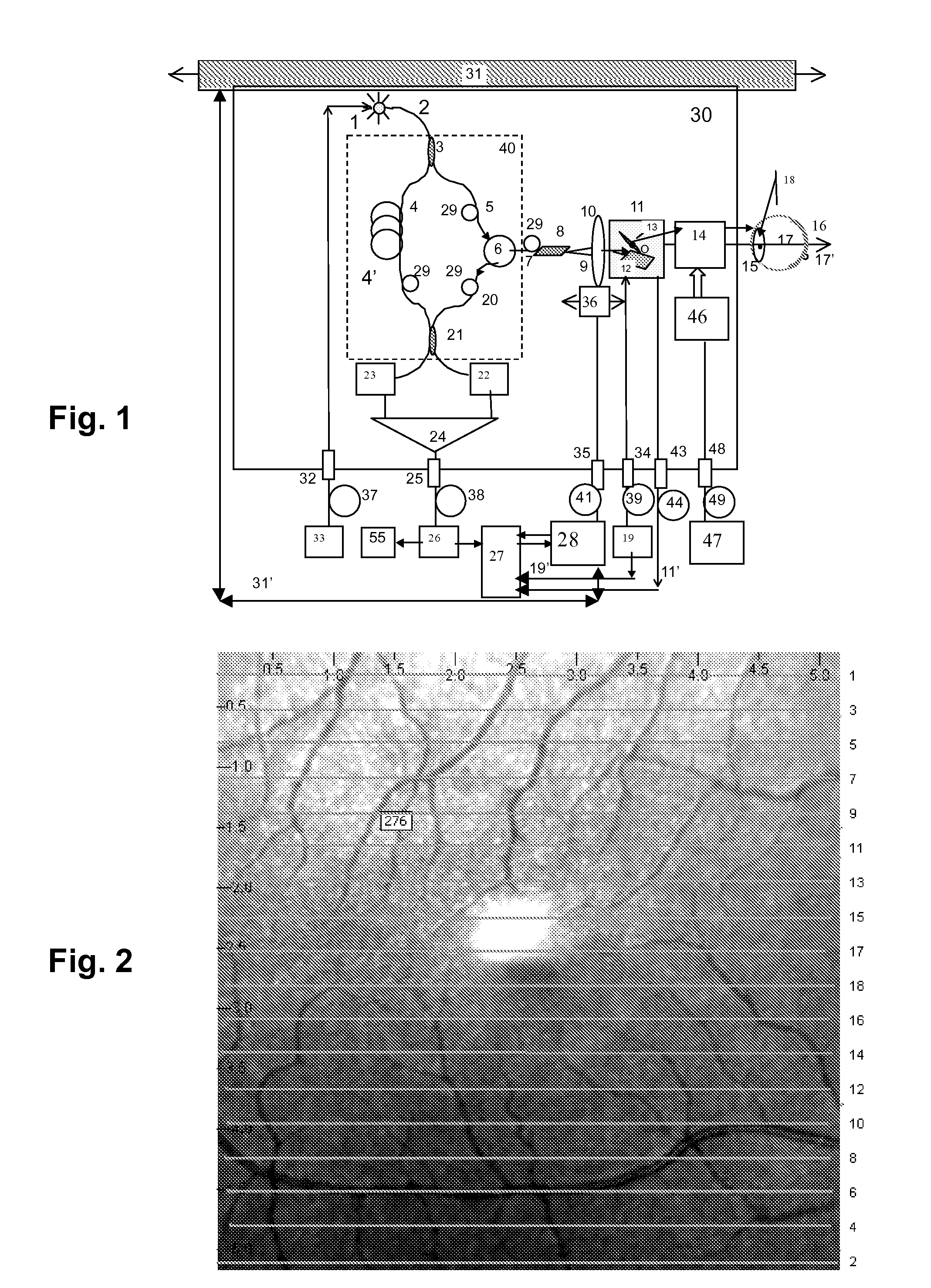 Method for reliable optical coherence tomography scans of volumes of retinal tissue