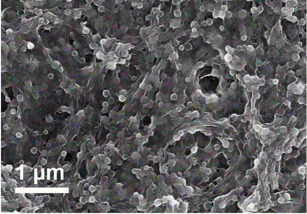 Molybdenum sulfide/graphene/carbon nanoball composite material and preparing method thereof