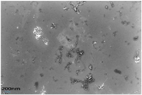 Method for achieving environmental protection and high yield of composite modified carbon nanotubes and products