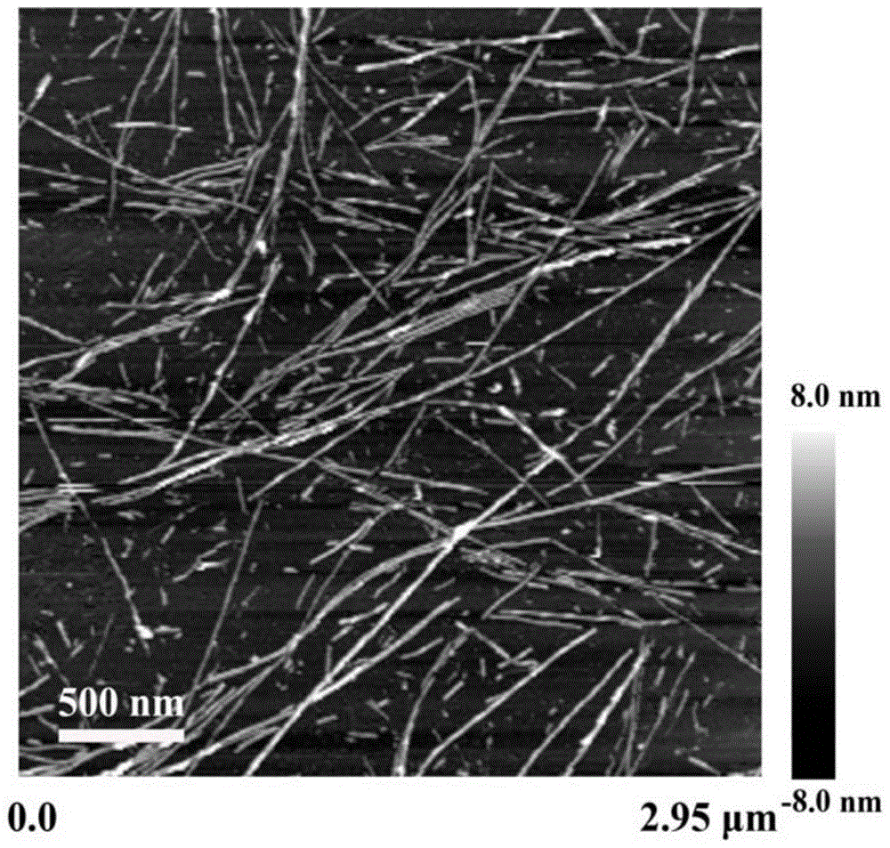 A kind of hydrogel that can be used for cell adhesion and preparation method thereof