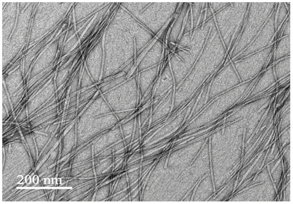 A kind of hydrogel that can be used for cell adhesion and preparation method thereof