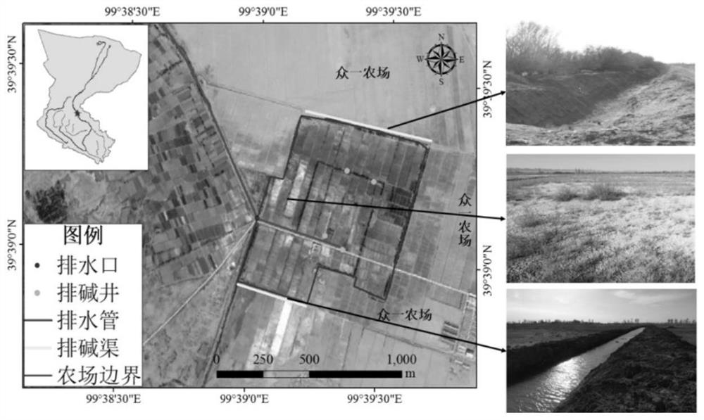 Drainage well layout calculation method for relieving soil secondary salinization
