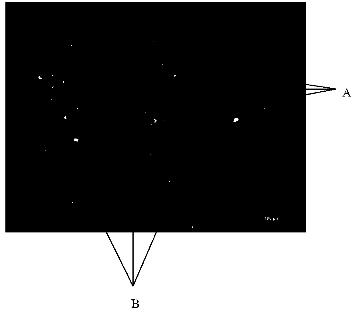 In-vitro culture method of mammary gland epithelial cells