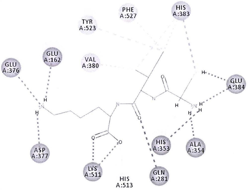 an ace inhibitory peptide