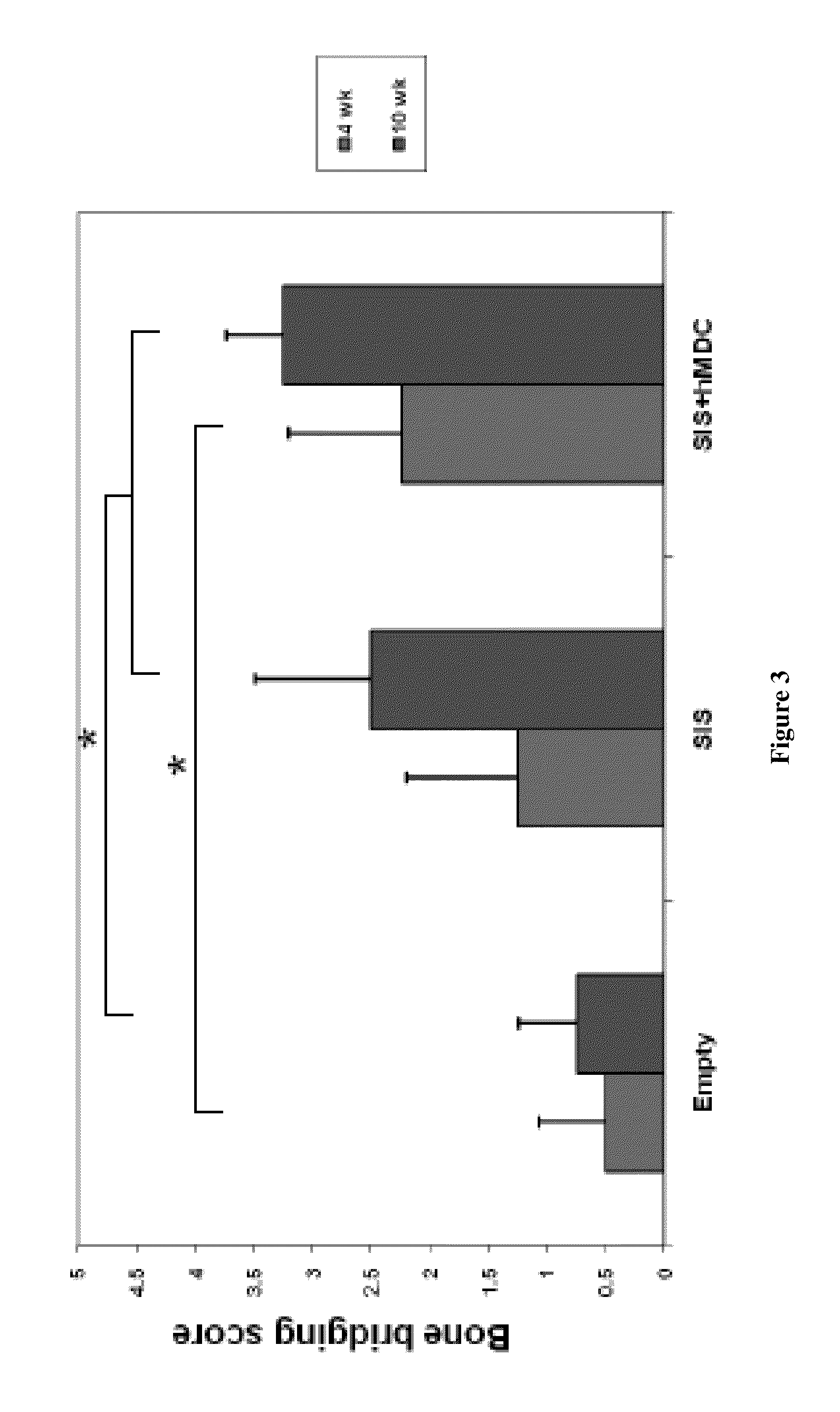 Bone augmentation utilizing muscle-derived progenitor compositions in biocompatible matrix, and treatments thereof