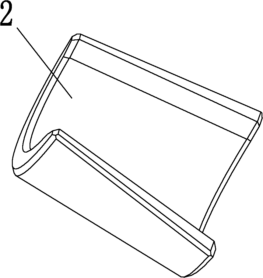 Motor and magnetic shoe