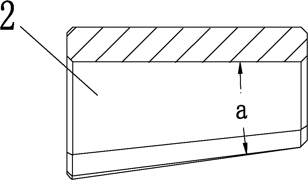 Motor and magnetic shoe