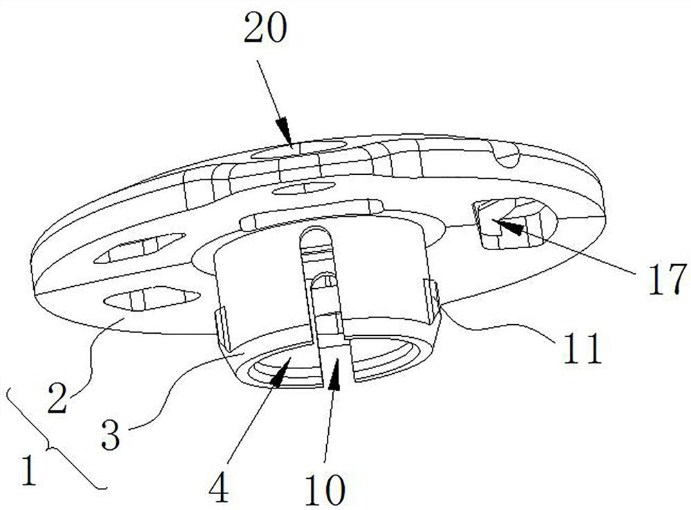 Skull hole electrode fixing device