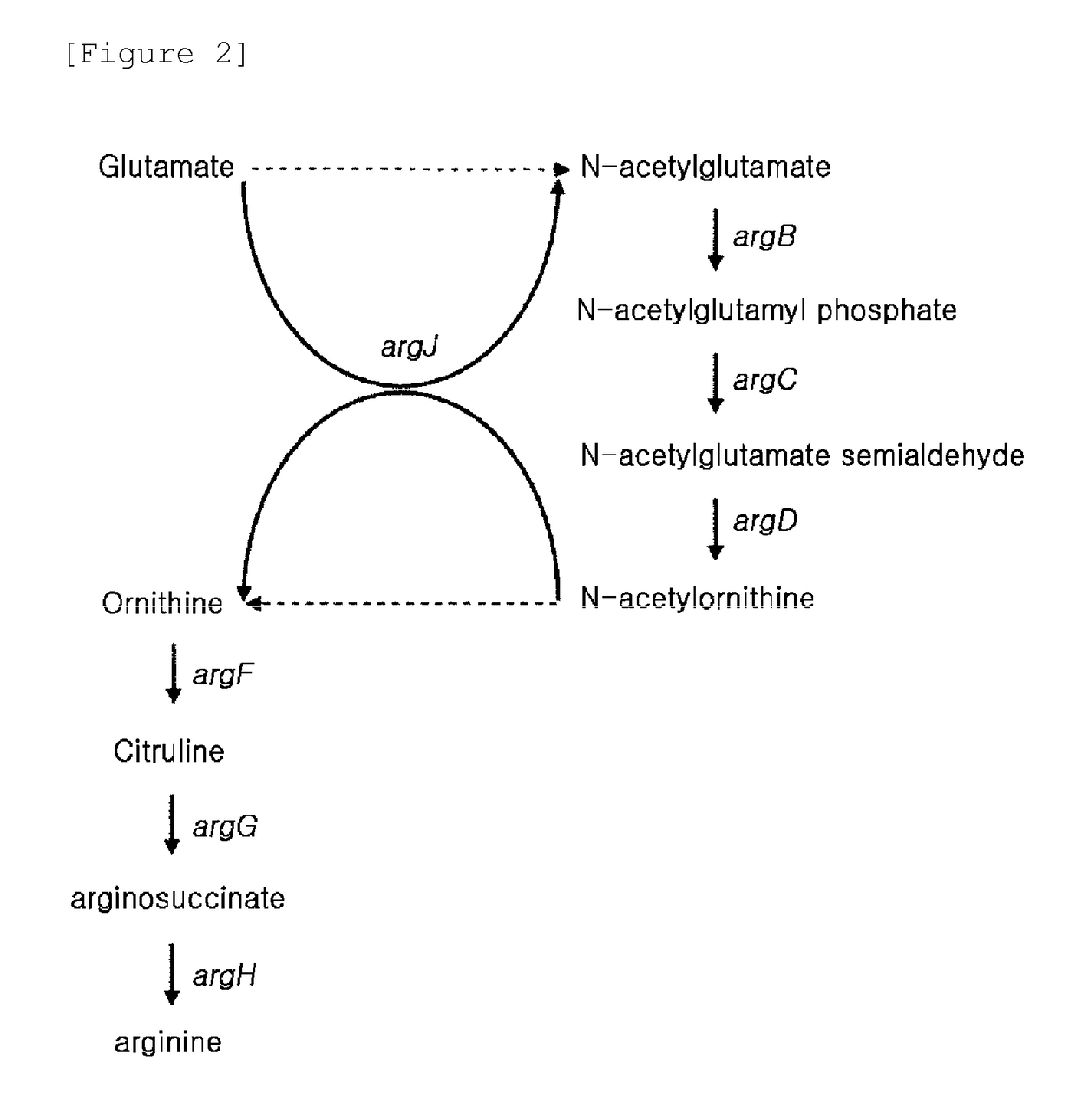 Microorganisms for producing putrescine and method for producing putrescine using same