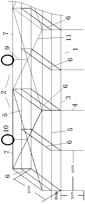 Simple greenhouse planting method for anoectochilus formosanus