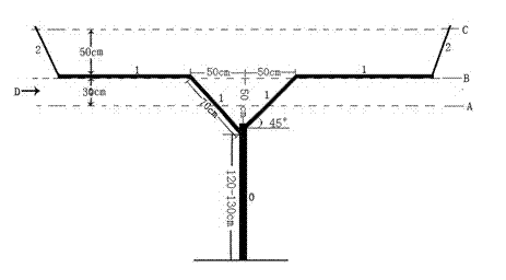 Novel shed frame pear tree shape and reshaping method thereof