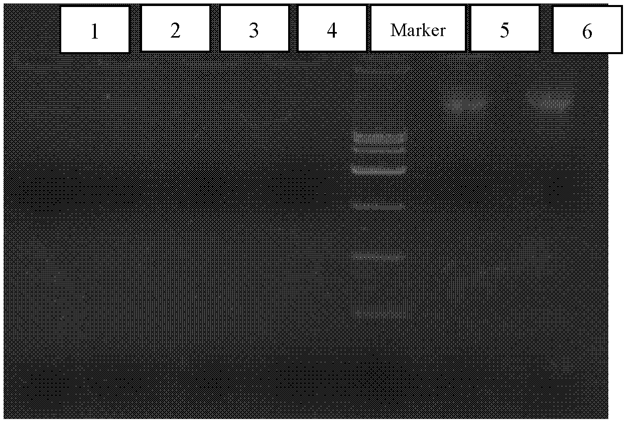 Method for purifying propionibacterium strain plasmid