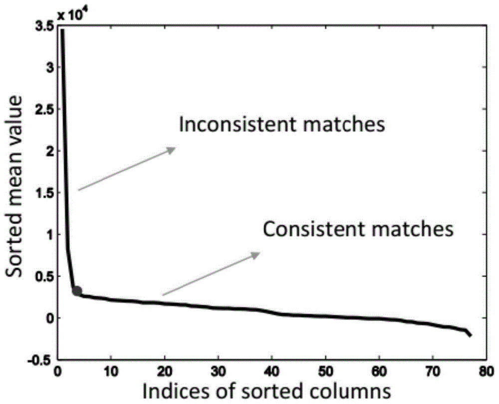 False Match Detection Method Based on L1 Norm Global Geometric Consistency Test