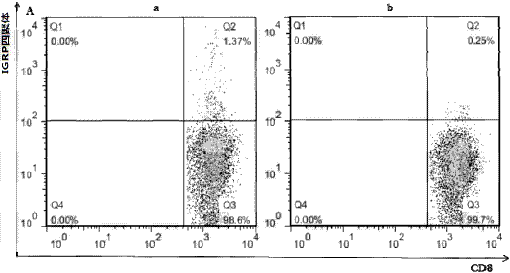 Islet-targeted protein and eukaryotic expression method thereof