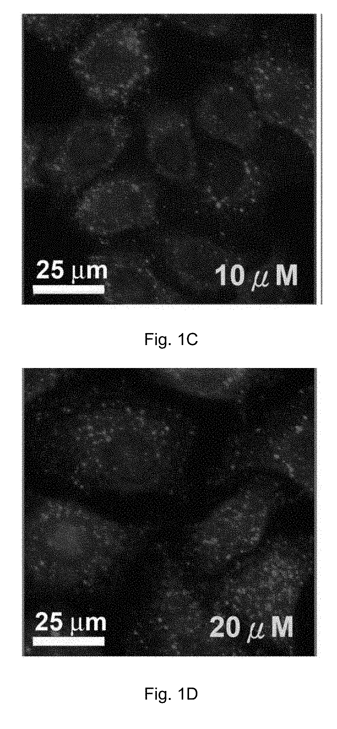 Cobalt-polypyridyl complex for treatment of cancer, a pharmaceutical composition and a kit comprising it