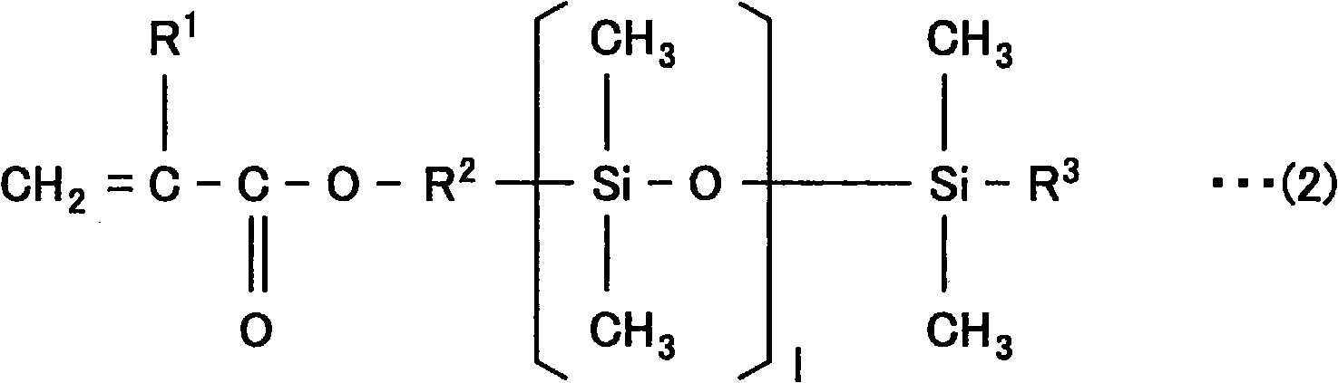 Oil-based solid cosmetic preparation