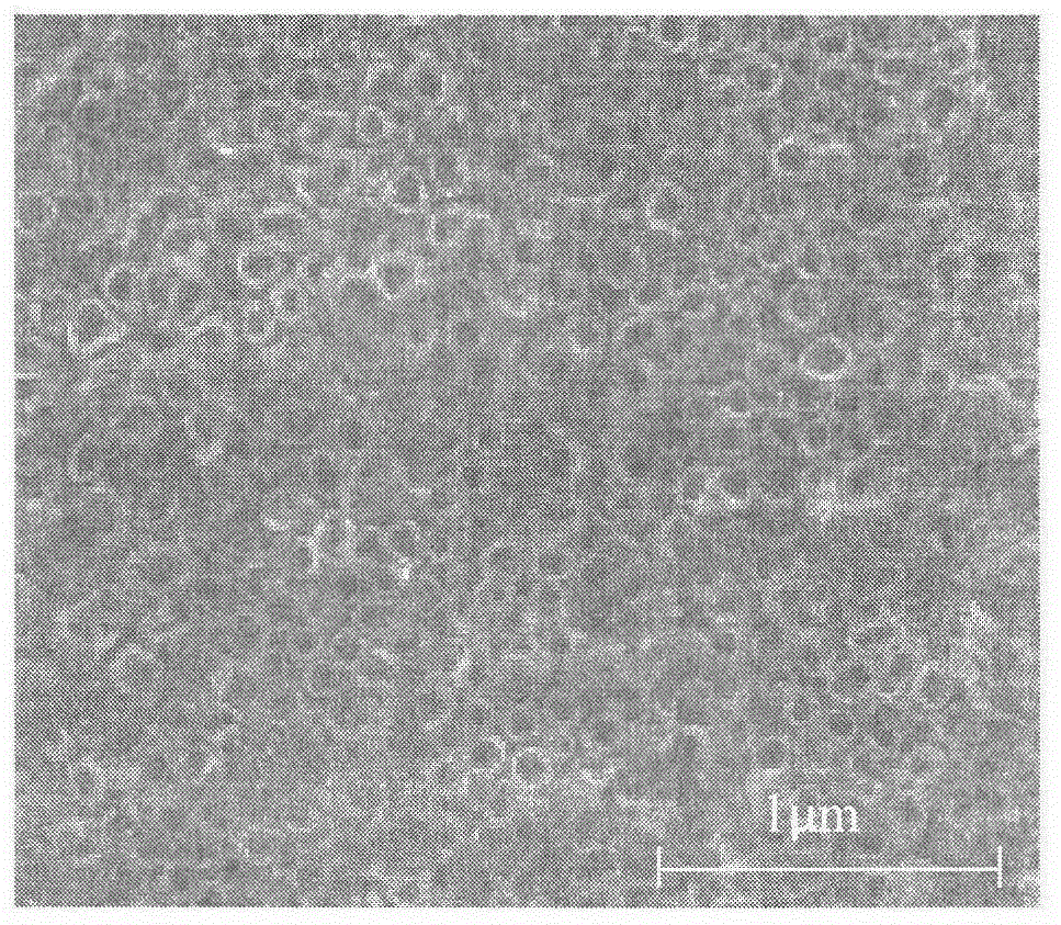 Preparation method of titanium dioxide nanotube array photoelectrode for removing organic pollutants