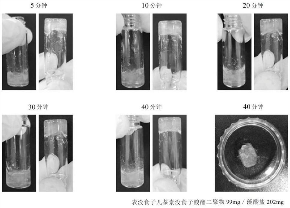 Alginate microcapsules for cell encapsulation and, manufacturing method therefor