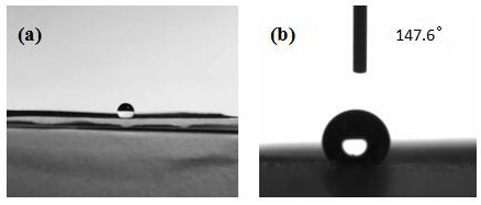 A solvent-free hydrophobic self-healing polyurethane coating and preparation method thereof
