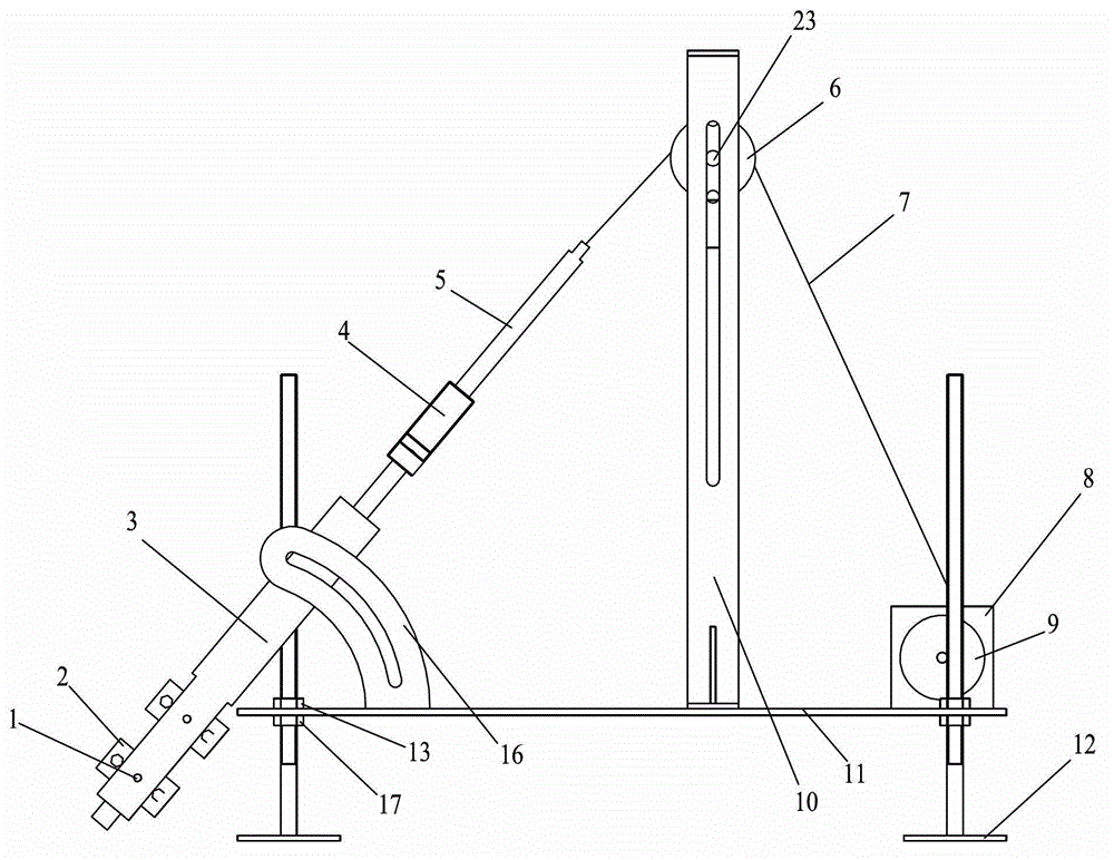 Flexible and adjustable biological straw lifting force measuring apparatus and measuring method